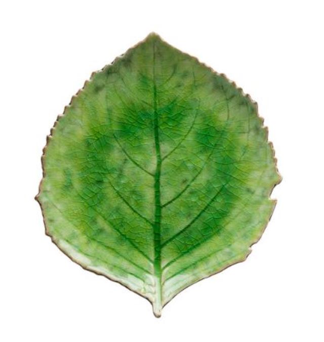 Hydrangea leaf plate